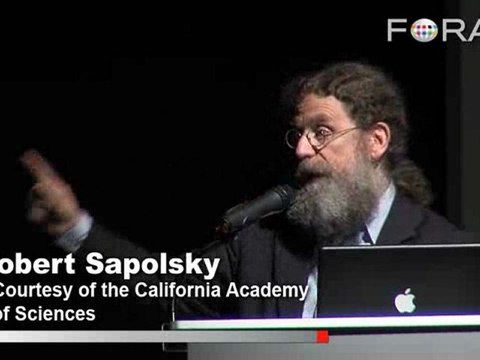 A Dog's Love: How Man's Best Friend Evolved to Empathize