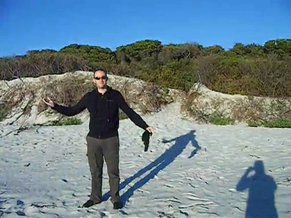 Video 1 Denison Beach a 7h00 am