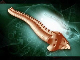 Surgical Spine Solutions