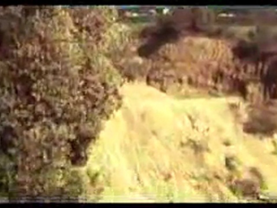 berzerk