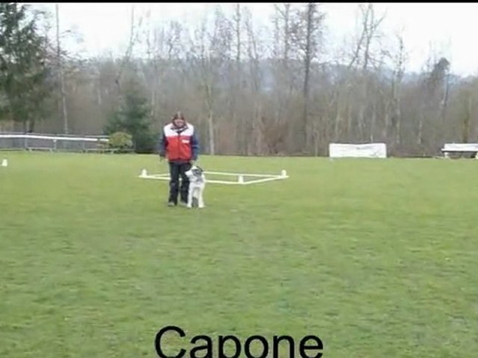 Capone