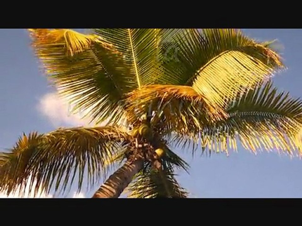 la martinique