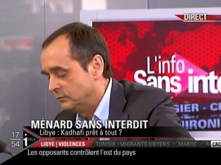 Libye R.Ménard Guaino Conseiller de Nicolas Sarkozy 23/02/11