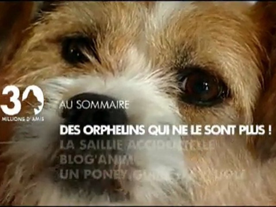 Sommaire émission 30 millions d'amis 27 02 2011
