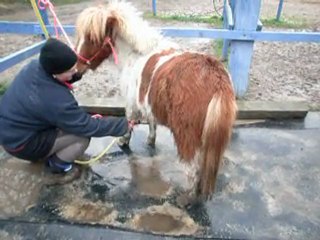 1ere douche de ma Loutre
