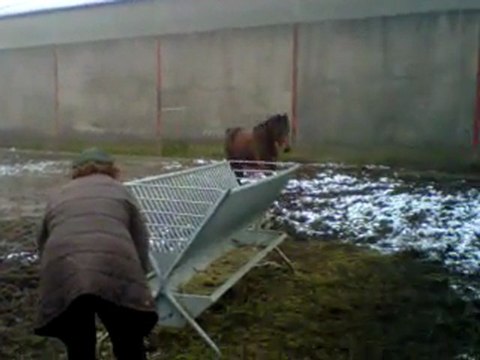 VID 00006-20110222-0945