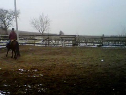 VID 00008-20110222-0956