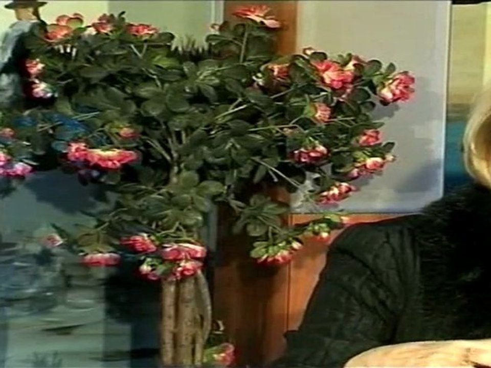 Viens chez moi j'habite à la Paillade reçoit Hélène Mandroux