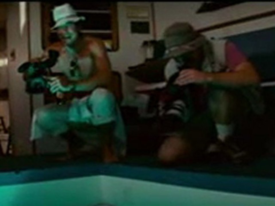 Piranha 3D sort en DVD: du gore, des filles et des poissons