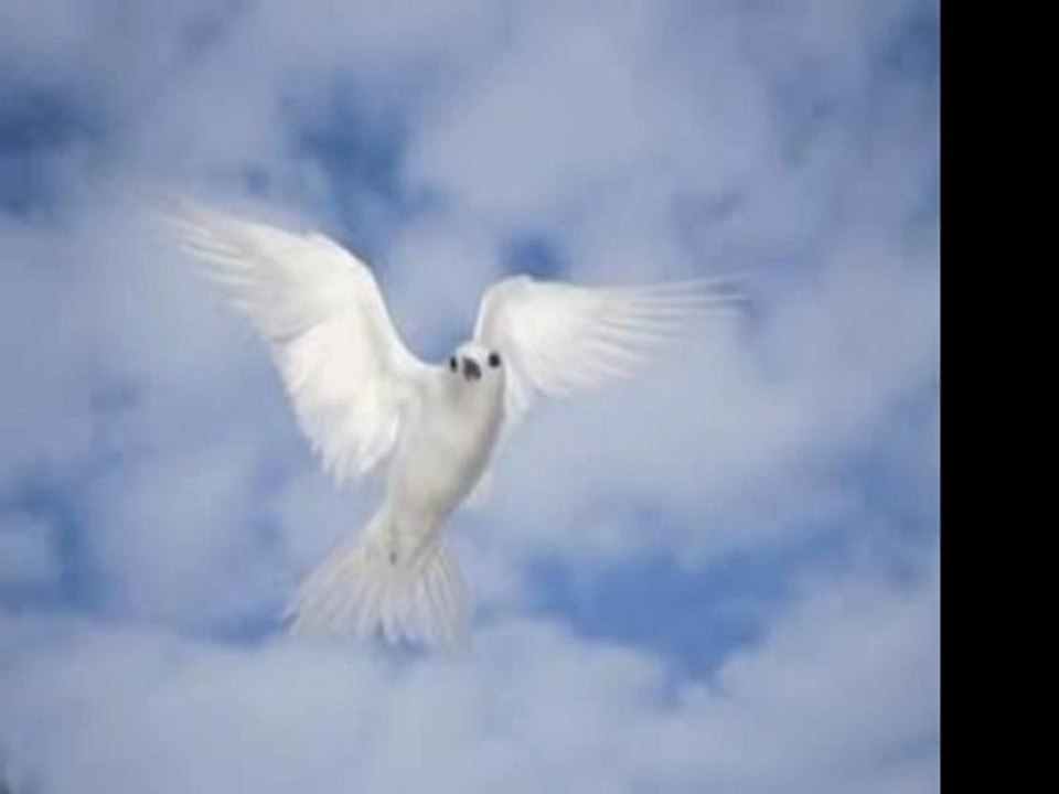 Ahmet Bin Ebü'l Havari (r.a)-Müslüman Olmak İçin