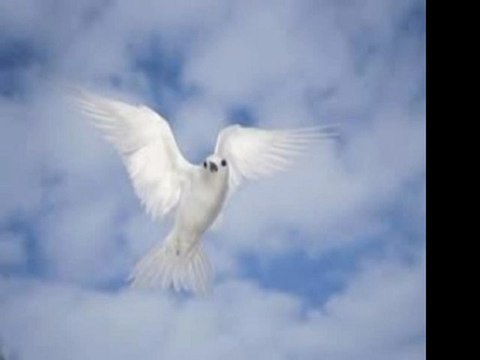 Ahmet Bin Ebü'l Havari (r.a)-Müslüman Olmak İçin