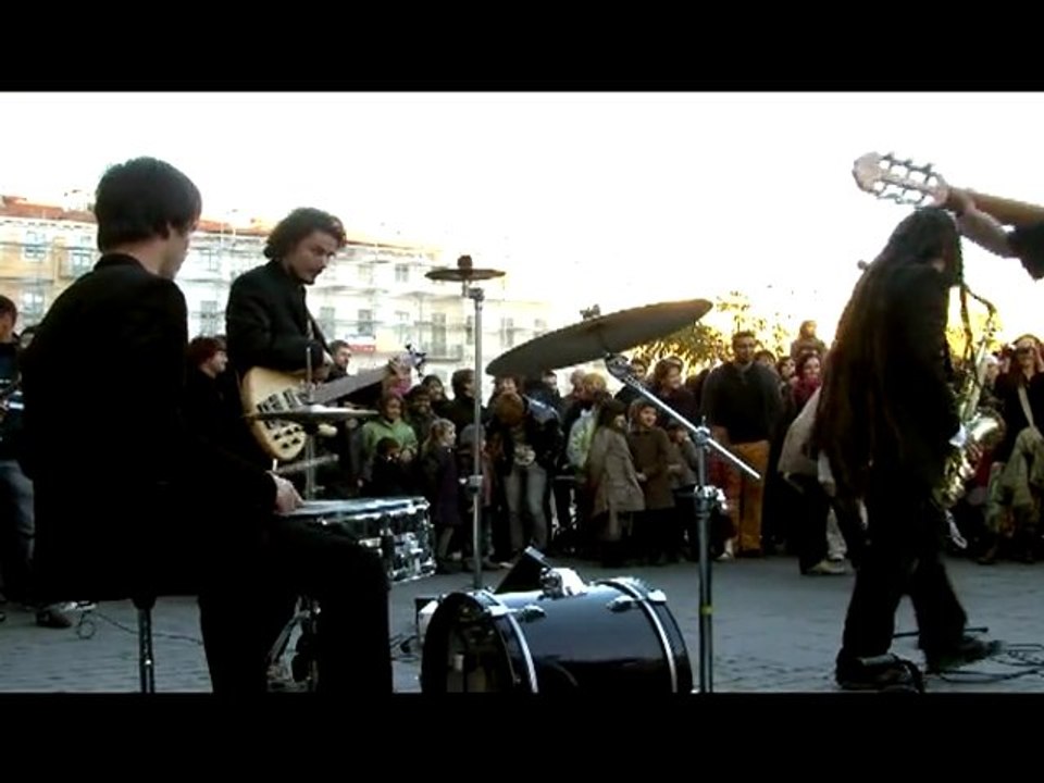 Concert sauvage II