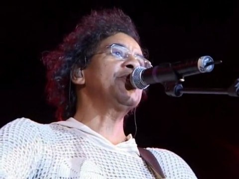 Coeur grenadine - Laurent Voulzy (Spectacle 2005)