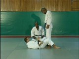 Techniques de combat - jujitsu