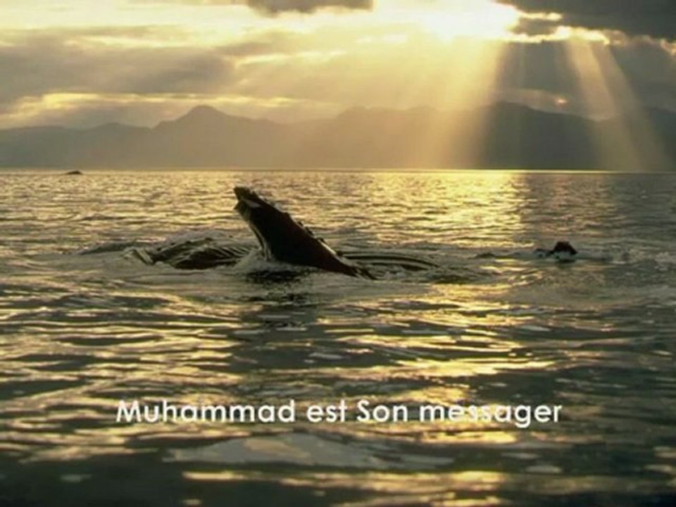 Talib Al Habib - La ilaha ila lah