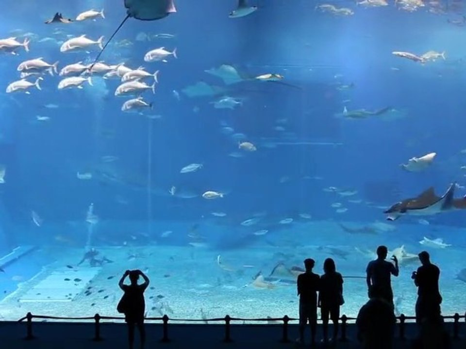 Kuroshio Sea