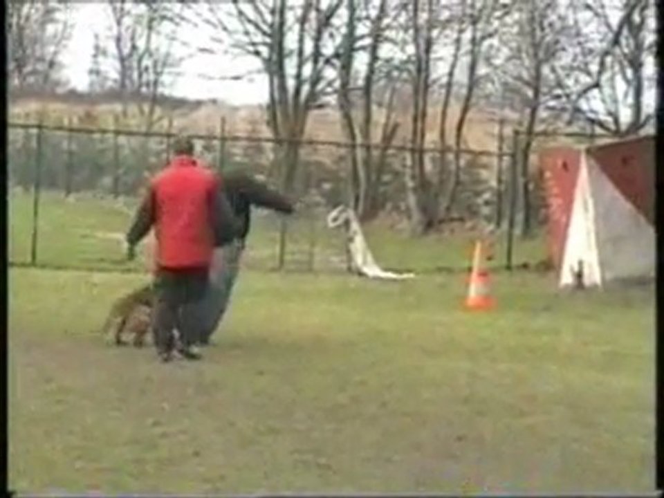 Emo des Loups Mutins