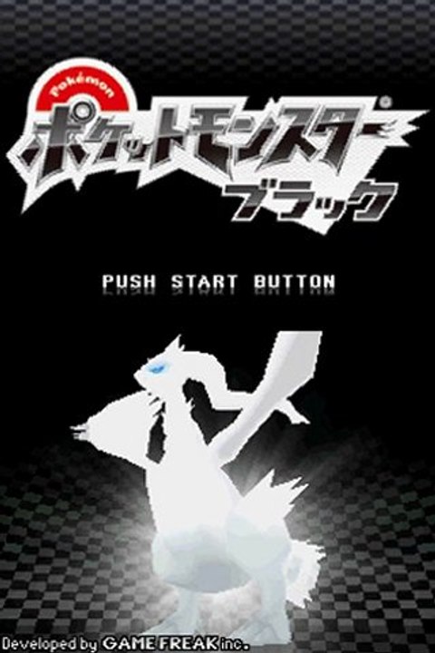 Pokemon version noir