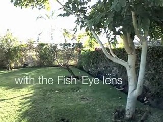 Sarpery26 - Sahibinden.com Fish Eye