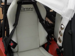 Buggy Lantana Photos Provence