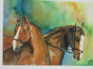 Dresaj - Bodytr.com Binicilik