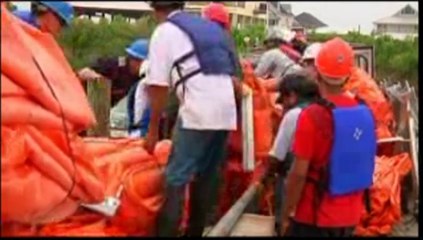 Louisiana - Il petrolio arriva sulla costa