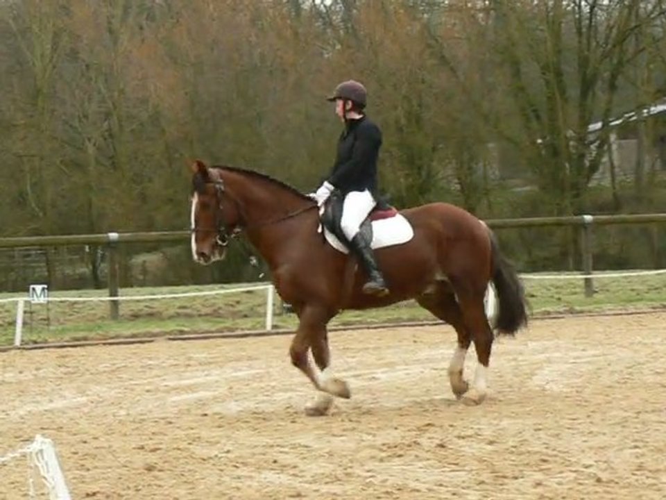Oriane sur Falco-20.02.2011.dressage club 3-ATH Laval-