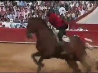 PATA NEGRA Caballo de Pablo Hermoso de Mendoza