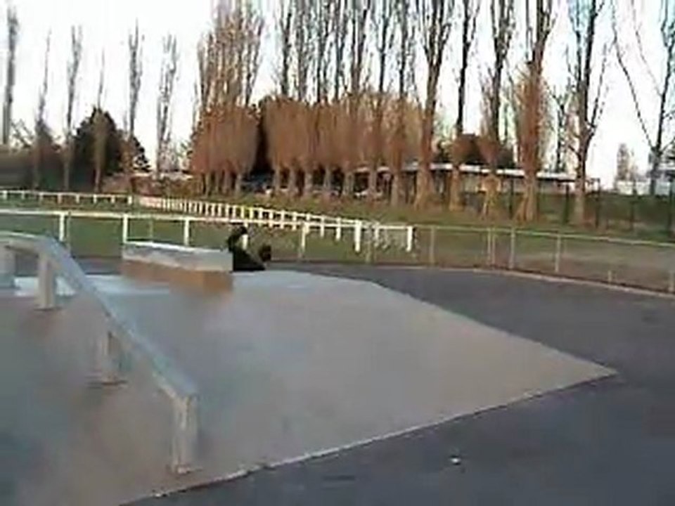 Session skatepark Moulin Neuf 15/02/2011