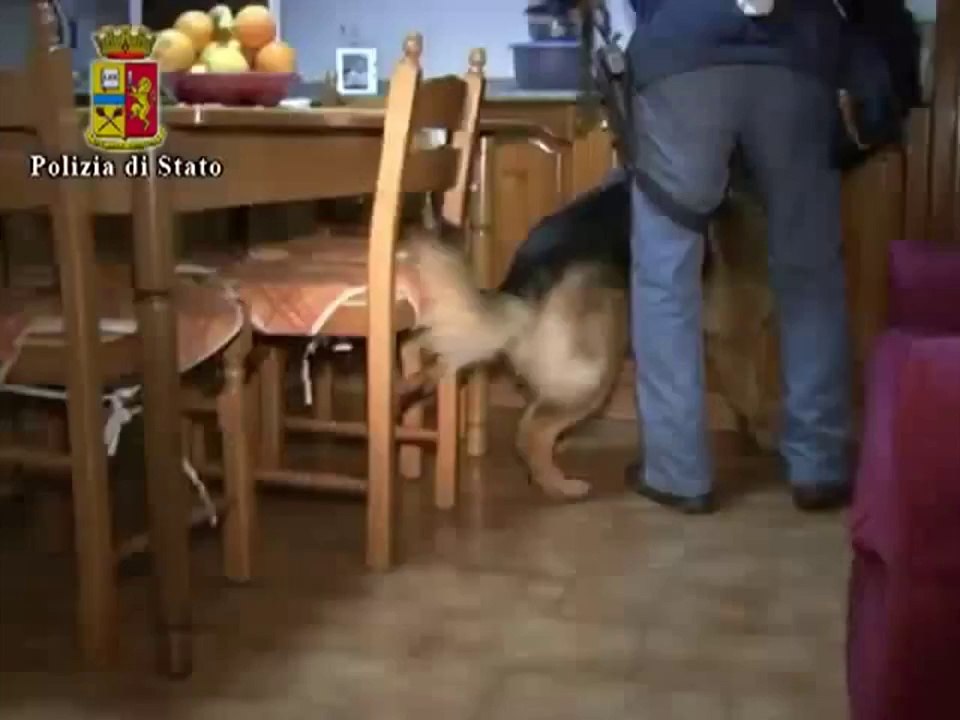 Reggio Calabria - Operazione  Eremo, 63 arresti