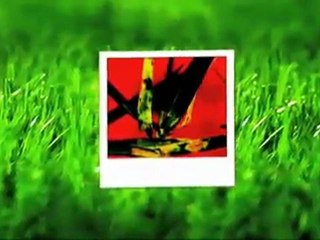 Georgia Lawn Care- Weed pro: Brown Patch Fungus