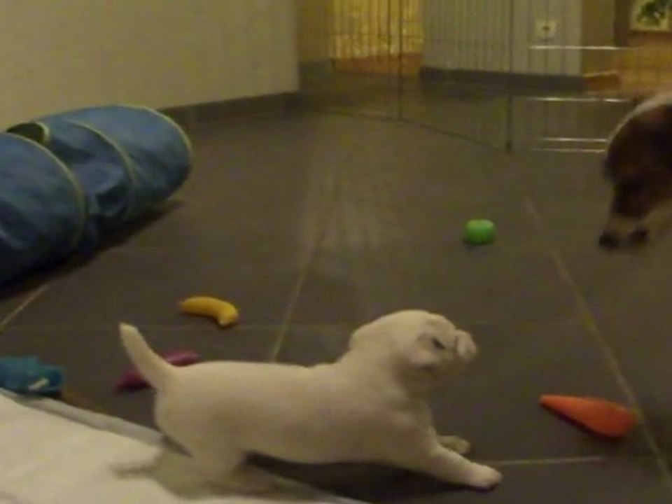 la grosse et bibi le 24.02.11