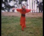 Kate Bush & Maryla Rodowicz - Wariatka tanczy