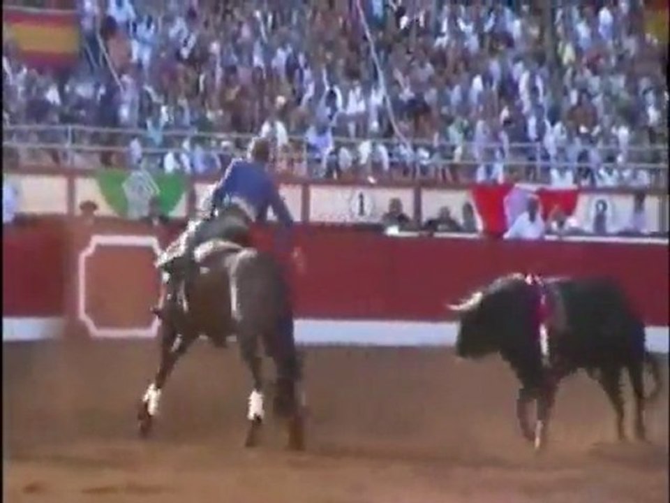 VAN GOGH Caballo de Pablo Hermoso de Mendoza