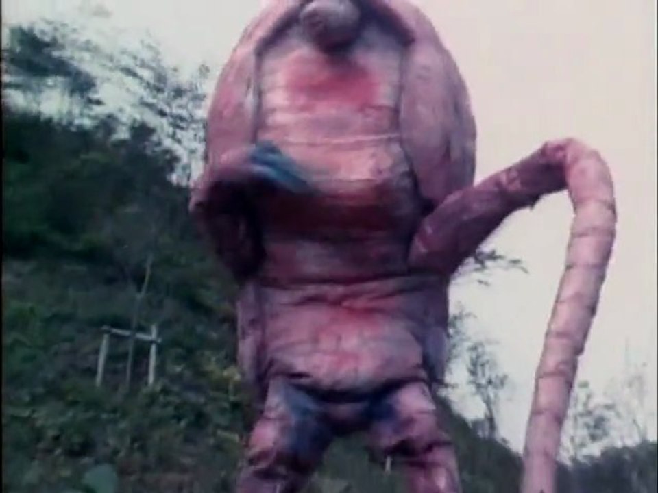 kobieta