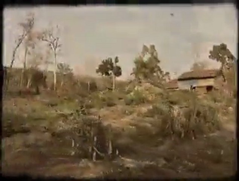moto jungle