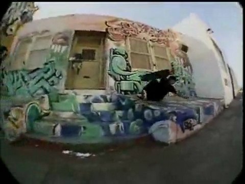 Another DVS Skate More clippy
