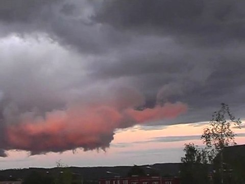 Tupac Makaveli Branded My Homeideo