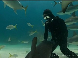 Nina Salerosa Dancing with the sharks