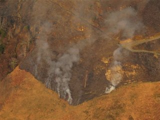 Un petit vol bien tranquille !