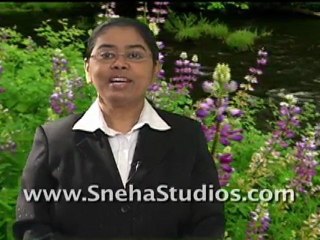 Who writes the script for the Corporate & web video?