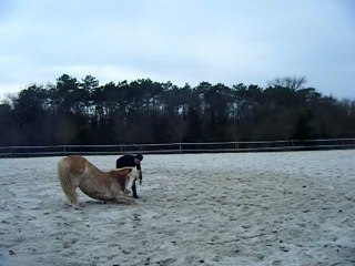 Osiris Février 2011