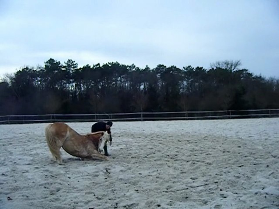 Osiris Février 2011