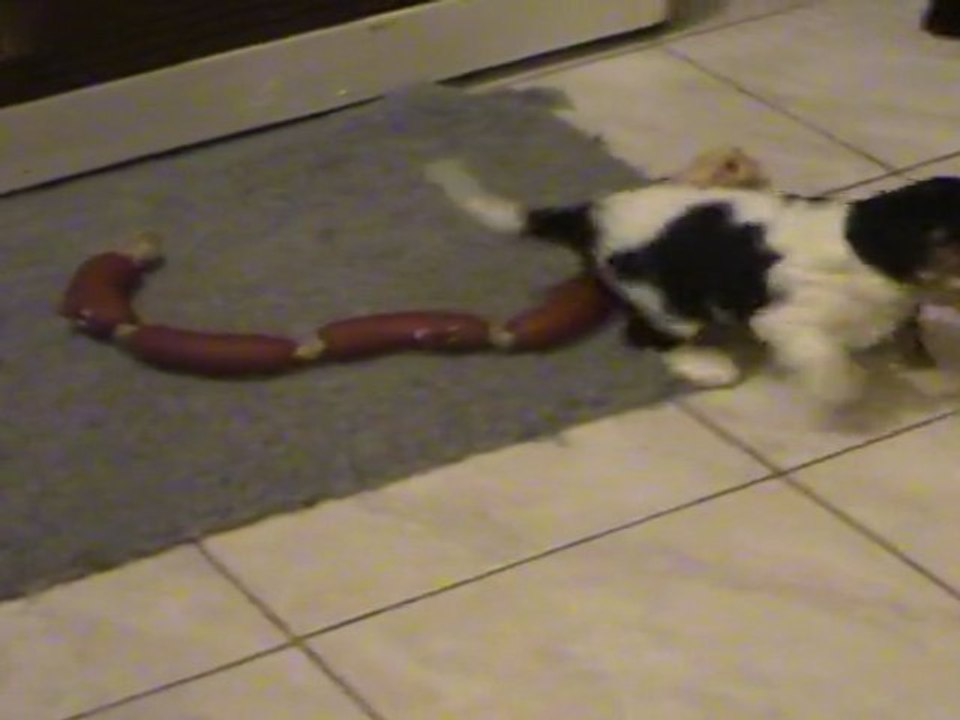 jeux de cavaliers
