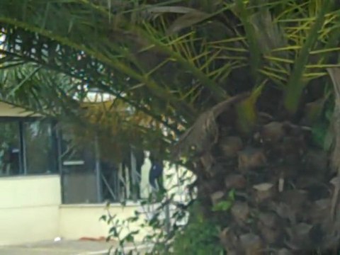 astynomikoi sta grafeia super league 2