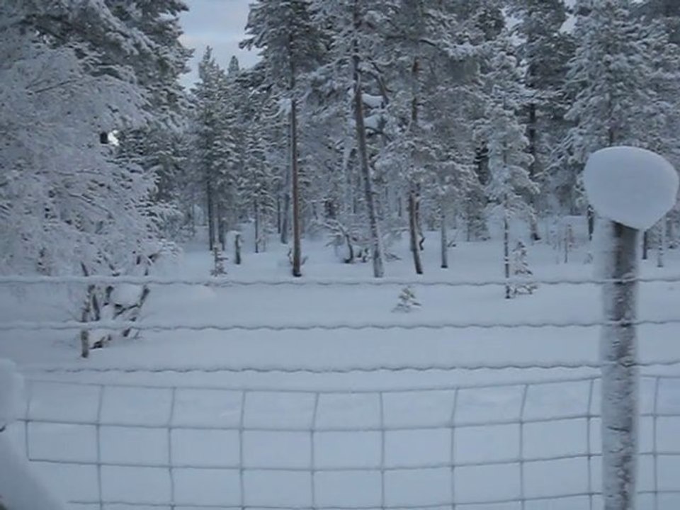 la frontière entre Finlande et Norvège près de Piilolakoia