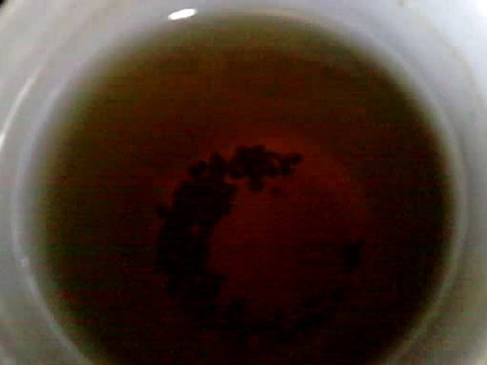 20.02.11 - Herbata