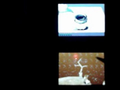 Okamiden (Nintendo DS)