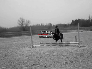 Mathilde & Princesse 1ere vrai séance s'obstacle