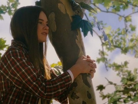 Flipped (2010) Unrated DVDRip